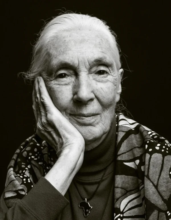 Mengenang Jane Goodall: Ikon Primata dan Alam Sekitar